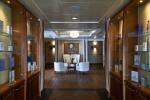 Silver Shadow Gallery Image